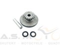 Koło-tryb-pośredni-rozrusznika-Benyco-Dark-Star-125-4T-chiński-motocykl-125-4T-2-typ (2).jpg