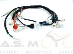 Instalacja-elektryczna-ATV-mały-quad-70-80-90-110-125-Big-Foot (3).jpg
