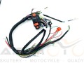Instalacja-elektryczna-ATV-mały-quad-70-80-90-110-125-Big-Foot-z-przełącznikiem-i-klaksonem (3).jpg