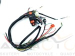 Instalacja-elektryczna-ATV-mały-quad-70-80-90-110-125-Big-Foot-z-przełącznikiem-i-klaksonem (3).jpg
