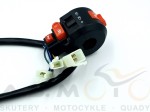 Instalacja-elektryczna-ATV-mały-quad-70-80-90-110-125-Big-Foot-z-przełącznikiem-i-klaksonem (5).jpg