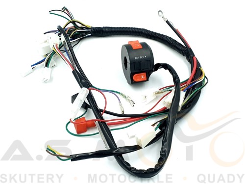 Instalacja-elektryczna-ATV-mały-quad-70-80-90-110-125-Big-Foot-z-przełącznikiem (1).jpg