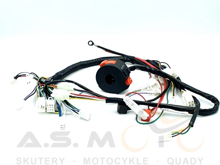 Instalacja-elektryczna-ATV-mały-quad-70-80-90-110-125-Big-Foot-z-przełącznikiem (3).jpg