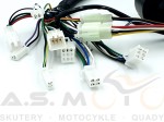 Instalacja-elektryczna-ATV-mały-quad-70-80-90-110-125-Big-Foot-z-przełącznikiem (4).jpg