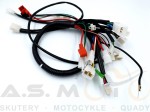 Instalacja wiązka elektryczna Quad ATV 110, 125 Fuxin, KXD 004