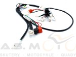 Instalacja-wiązka-elektryczna-Quad-ATV-110-125-Fuxin-KXD-004 (4).jpg