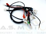 Instalacja-wiązka-elektryczna-Quad-ATV-110-125-Fuxin-KXD-004 (6).jpg