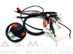 Instalacja-wiązka-elektryczna-Quad-ATV-110-125-Fuxin-KXD-004-z-przełącznikiem-zq2309b (2).jpg