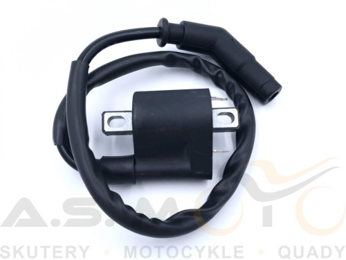 Cewka-zapłonowa-Quad-ATV-Yamaha-Grizzly-YFM-Raider-Stratoliner-Roadliner-Kodiak-550-700 (4).jpg