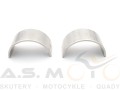 Panewki-kpl-panewek-2szt-Aodes-Odes-1000ccm (3).jpg