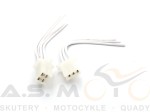 Kość wtyczka adapter żeński modułu zapłonowego 4+2 Quad Atv Motocykl China