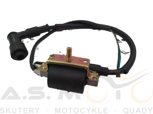 Instalacja-elektryczna-wiązka-cross-125cc-kompletna-sklepasmoto-pl (1).jpg