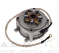 Rozrusznik-elektryczny-mini-Pocket-bike-mini-quad-mini-cross (3).jpg