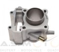 Cylinder-Honda-S-Wing-125-Pantheon-SH-Dylan-FES-PANTHEON-125  (3).jpg