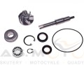 Reperaturka-zestaw-naprawczy-pompy-cieczy-wody-Honda-SH-Chiocciola-S-wing-Pantheon-125-150-pompa-cieczy  (1).jpg