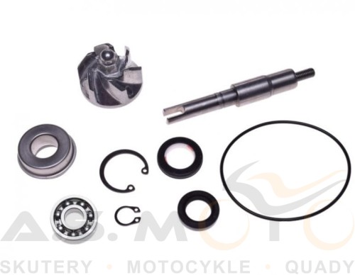 Reperaturka-zestaw-naprawczy-pompy-cieczy-wody-Honda-SH-Chiocciola-S-wing-Pantheon-125-150-pompa-cieczy  (1).jpg