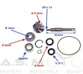 Reperaturka-zestaw-naprawczy-pompy-cieczy-wody-Honda-SH-Chiocciola-S-wing-Pantheon-125-150-pompa-cieczy  (2).jpg