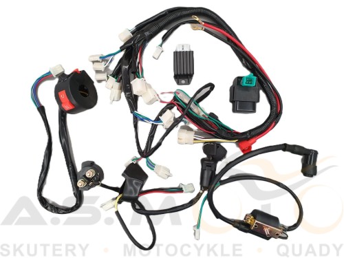 instalacja-elektryczna-quady-70-110-125-silnik-139fmb-147fmd-152fmh-154fmi (2)_Easy-Resize.com.jpg