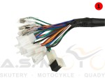 Instalacja-elektryczna-wiązka-Kingway-Czoper-Benzer-Texas-Kinroad (3).jpg