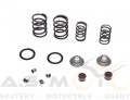 Sprężyny-uszczelniacze-zaworowe-CROSS-PITBIKE-YX140-KAYO-MRF-komplet- z-zabezpieczeniami (1).jpg