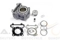 Cylinder-AIRSAL-125-YAMAHA-YZF-R-125-WR-125-MT-125-X-MAX-125-NICASIL .jpg