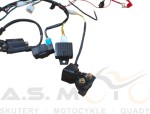 Instalacja-Elektryczna-Do-Crossa-110-125-140-z-osprzętem-CROSS-PITBIKE-DIRTBIKE (3).jpg