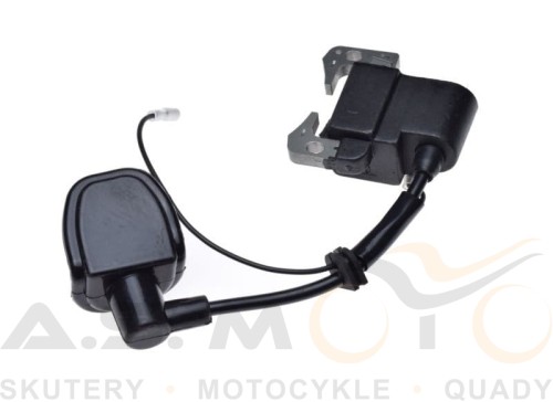 Cewka-Zapłonowa-POCKET-BIKE-MINI-QUAD-DIRT-BIKE-MINI-CROSS (2).jpg
