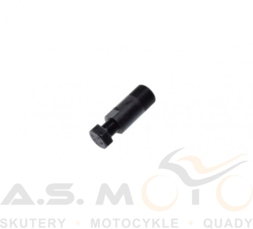 ŚCIĄGACZ-KOŁA-MAGNESOWEGO-MAGNETA-MINARELLI-AM6-M19x1-Yamaha-Aerox-50-JOG (2).jpg