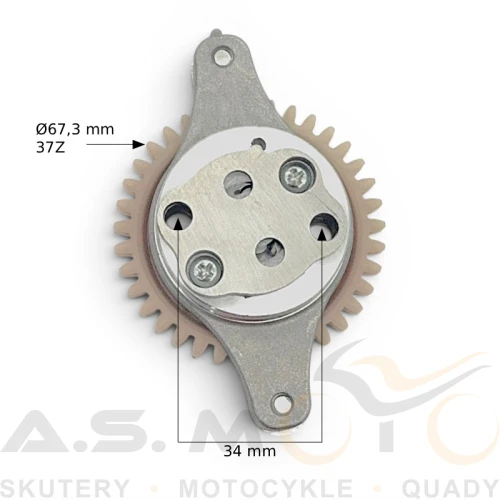 BS250AS43-026-wym.jpg