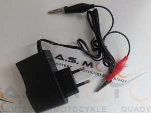 Ładowarka do akumulatorów kwasowych 12V 