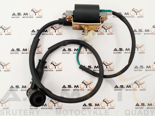 Cewka-zapłonowa-quad-ATV-110-125 (6).jpg