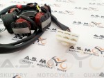 Uzwojenie-stator-iskrownik-stojan-chiński-motorower-50-4T-Shineray-6-cewek (2).jpg