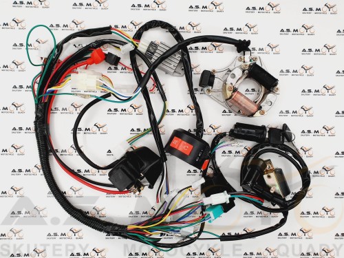 Instalacja-elektryczna-Quad-ATV110-125-006-Phyton-2-cewkowy.jpg
