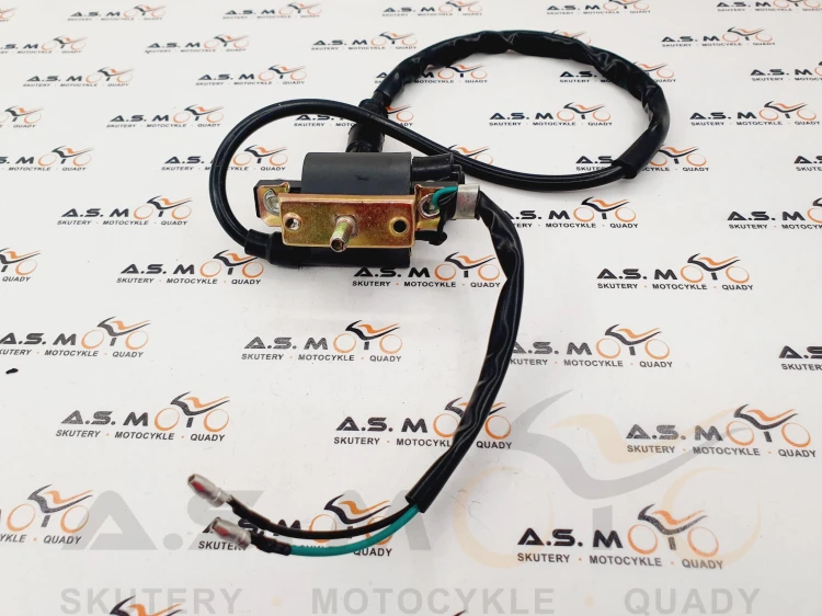 Cewka-zapłonowa-cross-110-125-Quad-ATV-110-125-motorower-50 (1).jpg